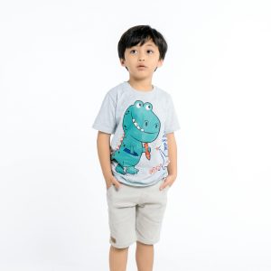 Adorable child posing in a dinosaur graphic T-shirt against a white background.